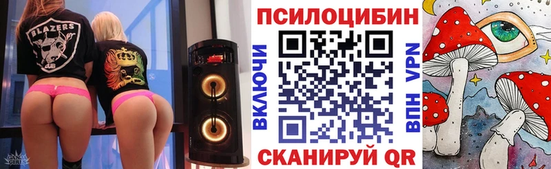наркота  Разумное  Галлюциногенные грибы Cubensis 